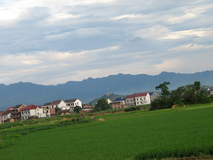 Landscape