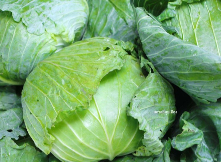 vegetable
