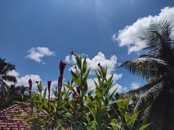 Terrace View