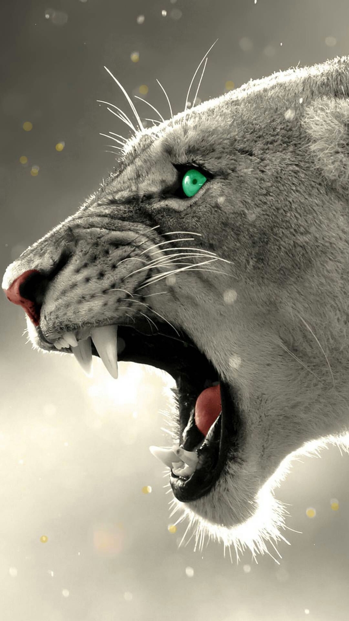 Roar