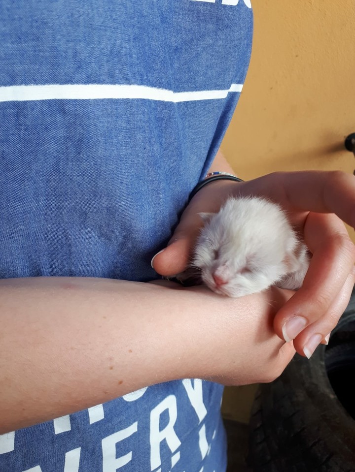 ♡♡♡