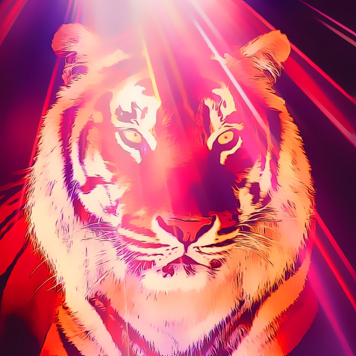 Sunrays Tiger