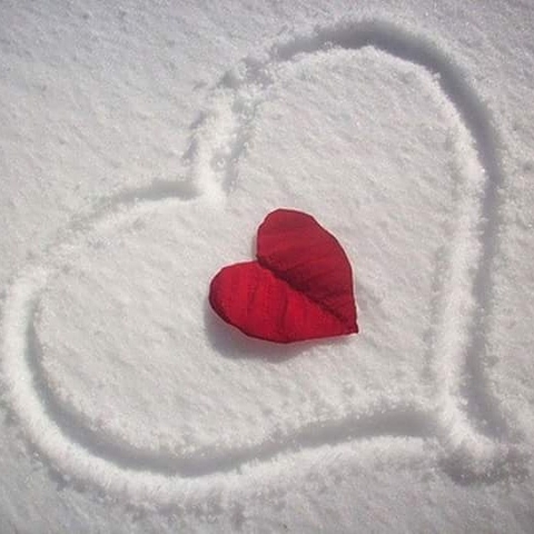 amour