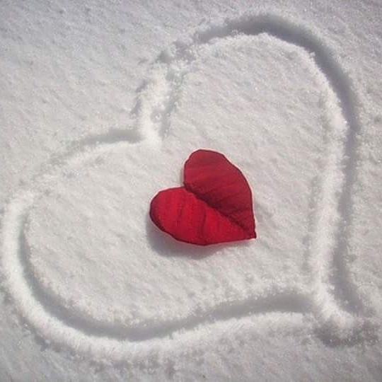 amour