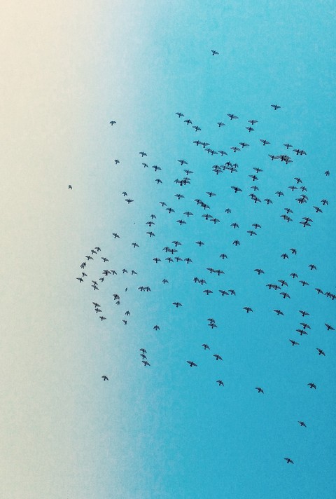 Up in the sky
