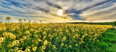 sunlight, cloud壁纸
