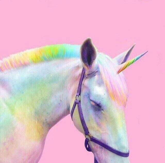 Unicorn