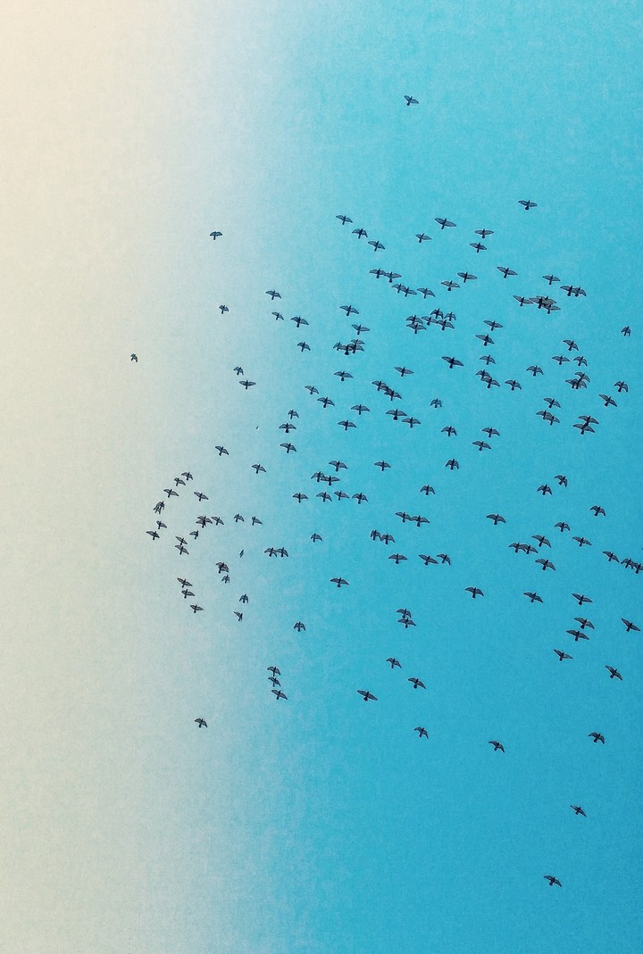 Up in the sky