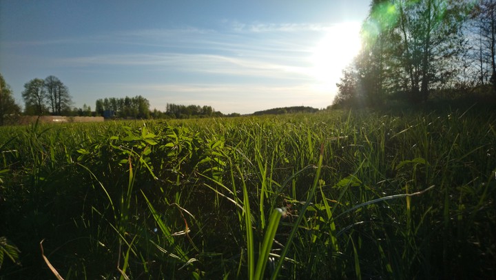 sunny day