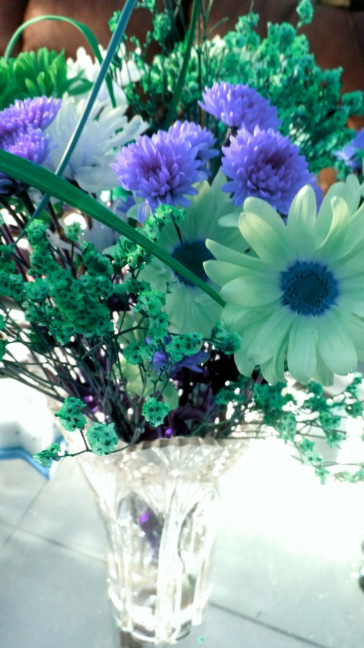 Friday's fresh flowers