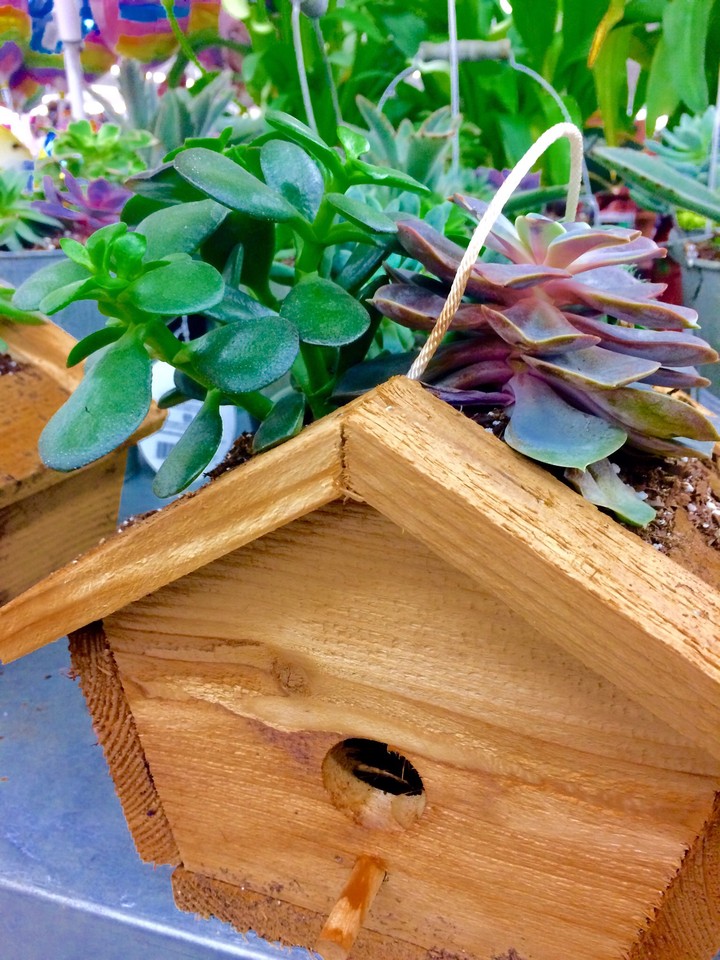 flower house