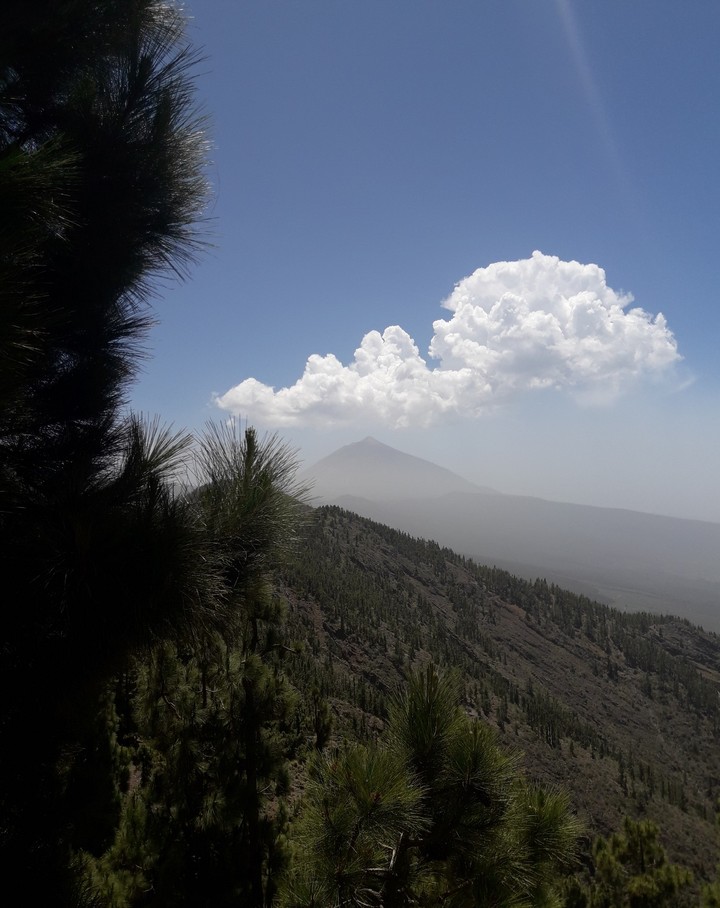 lonely mountain