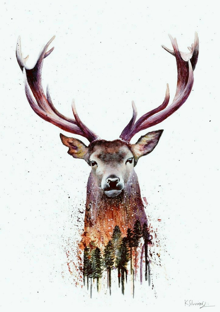 Moose