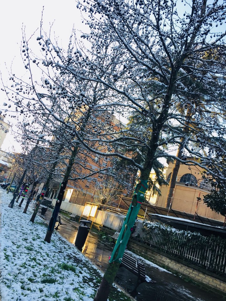 The winter in my city.❄️