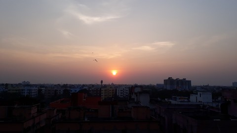 A bird and The Sun