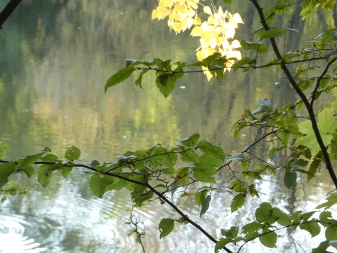 autumn