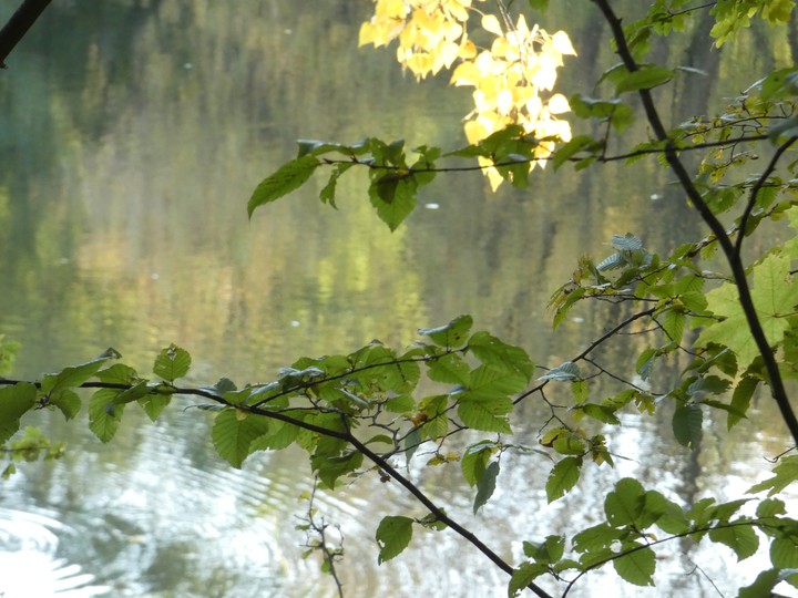 autumn