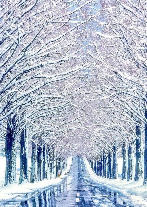 Snowy.