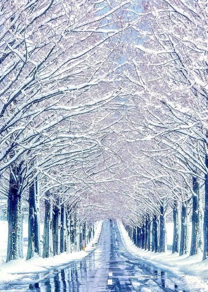 Snowy.