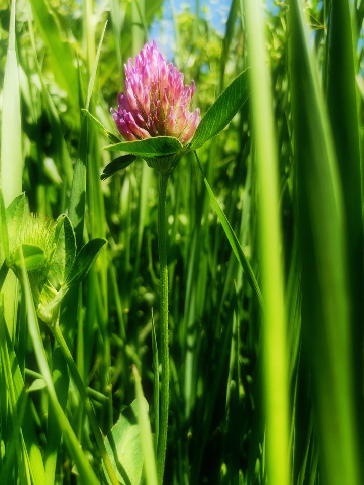 magic of summer