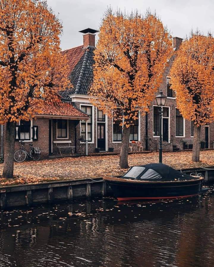 Autumn
