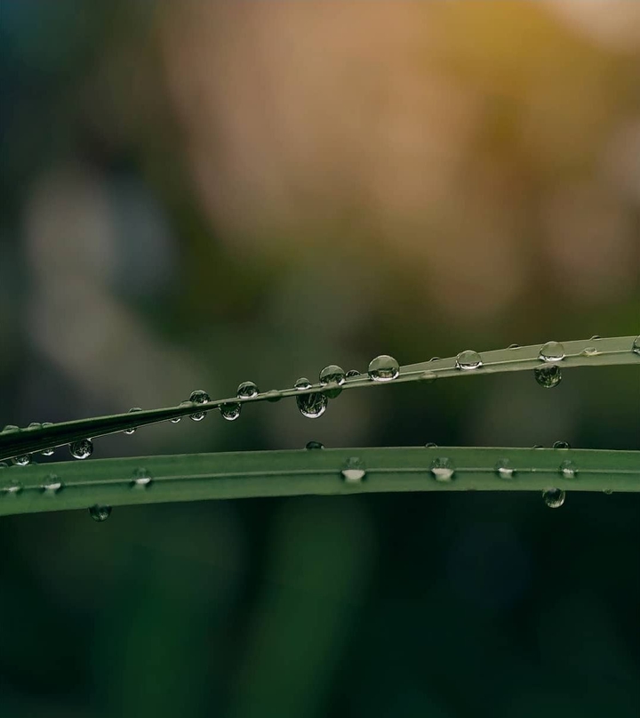 beauty of nature