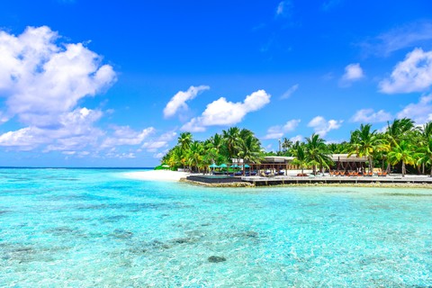 Paradise