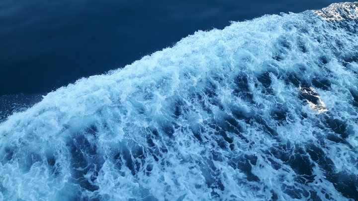 Wave