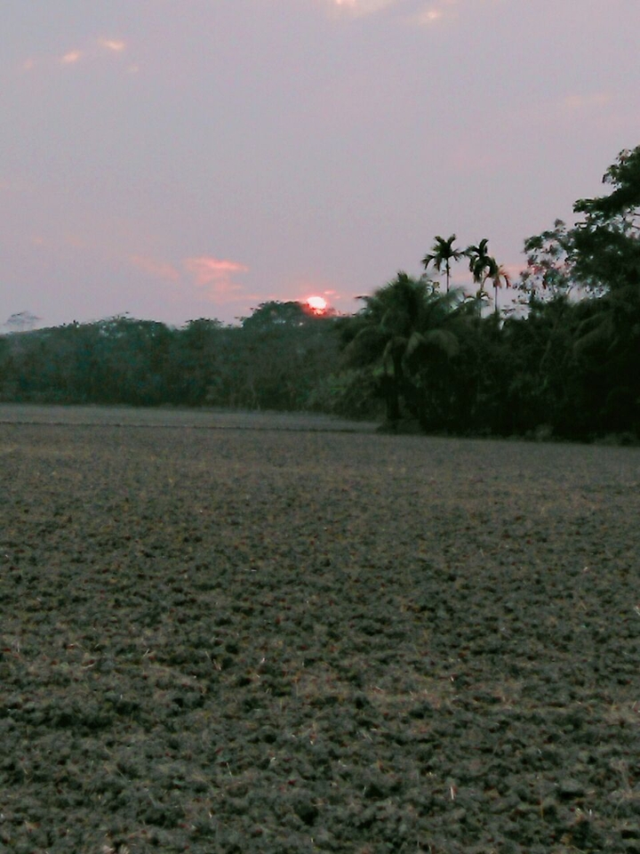 sun