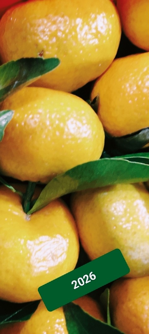food, lemon वॉलपेपर