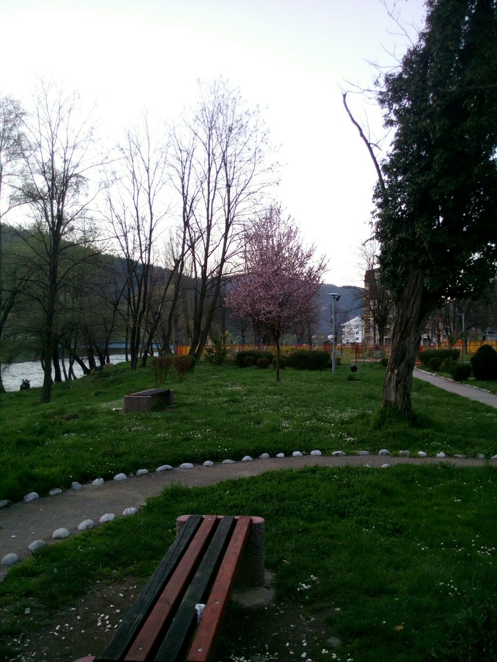 park Toše Proeski u Foči