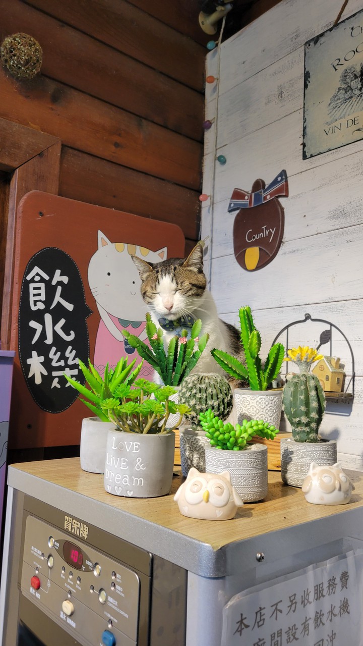 喵