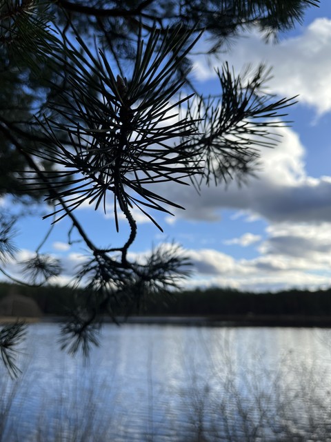 tapety cloud, sky