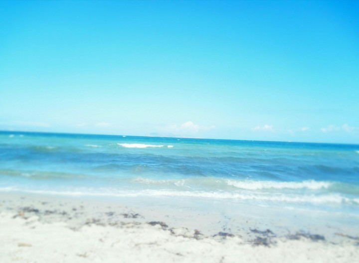 paradise