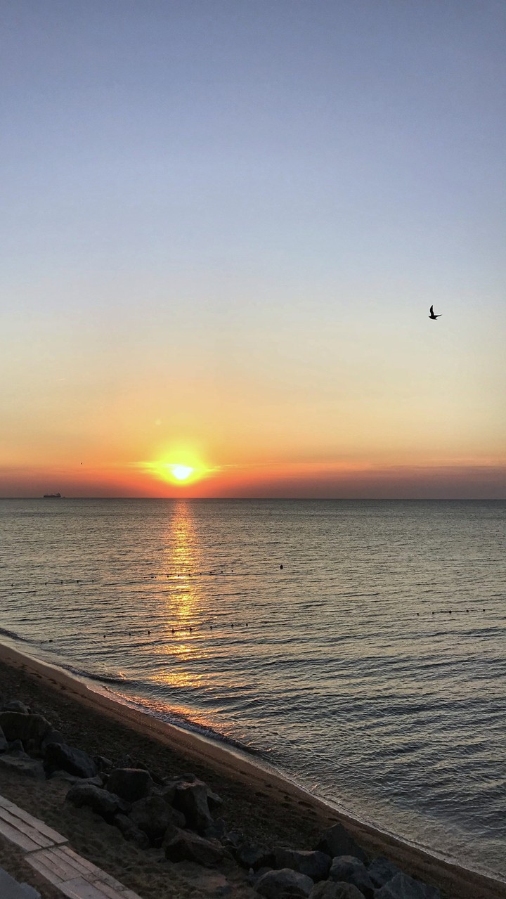 sun