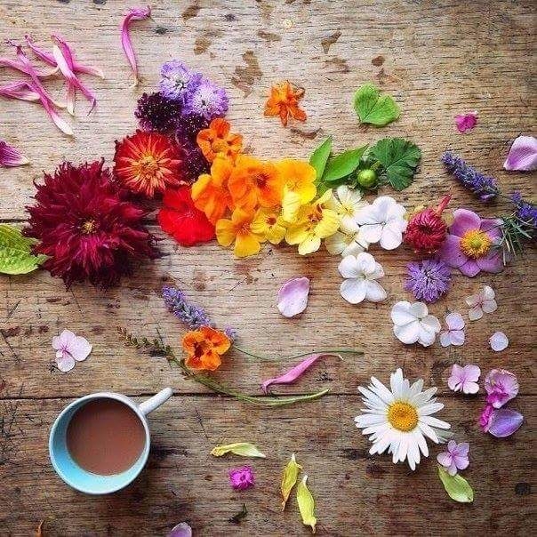 flowers