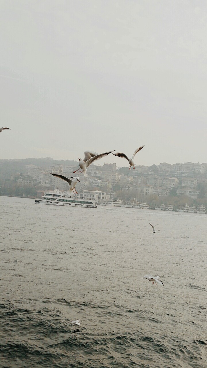 hayatın akışı