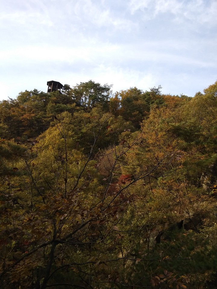 산