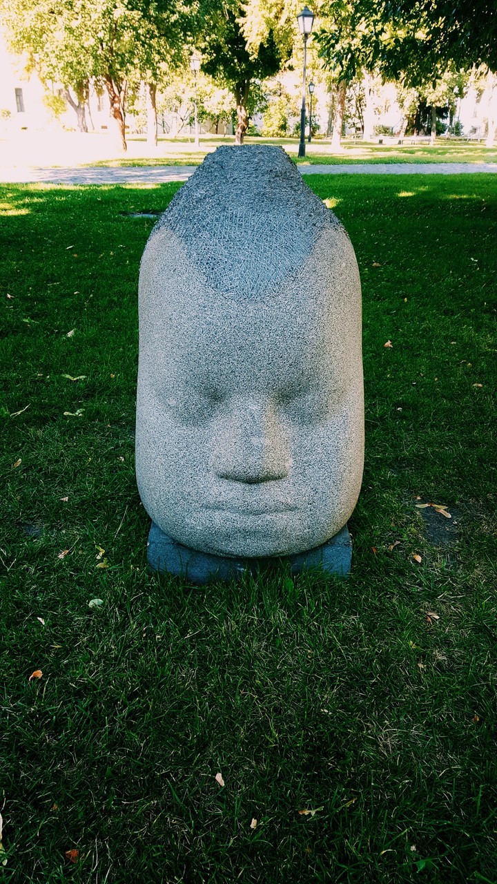 vice