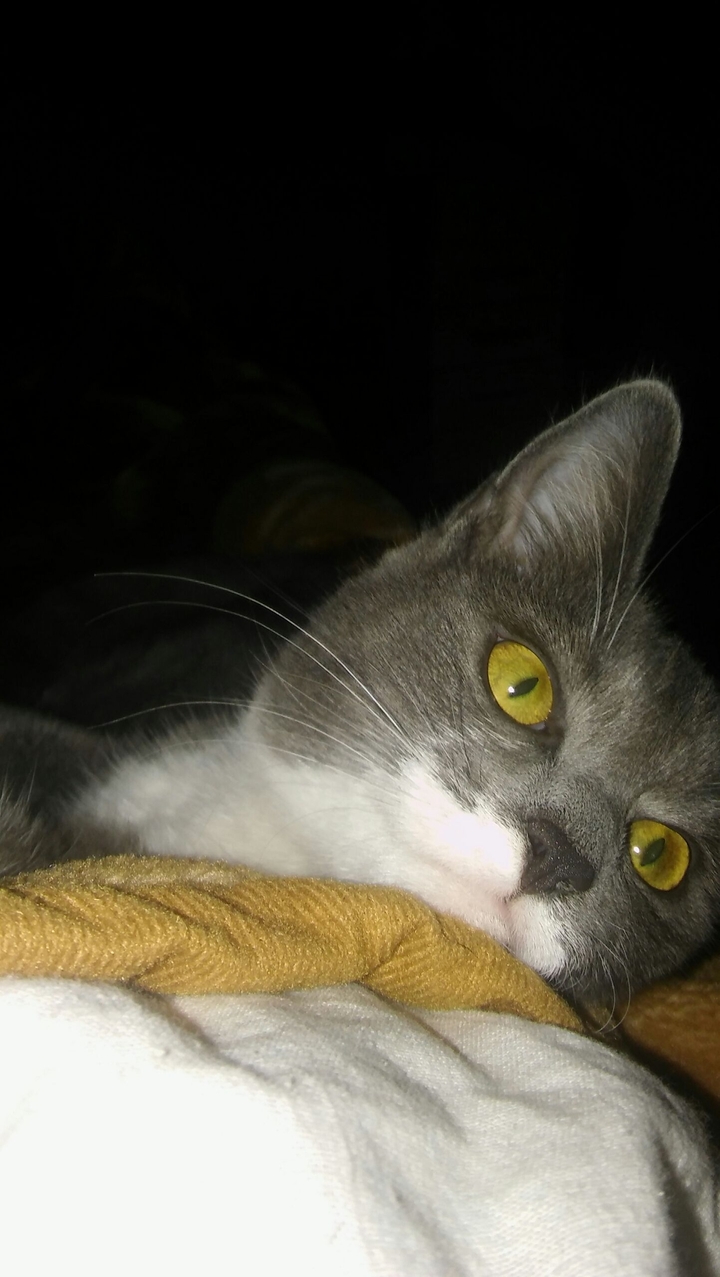 Luna