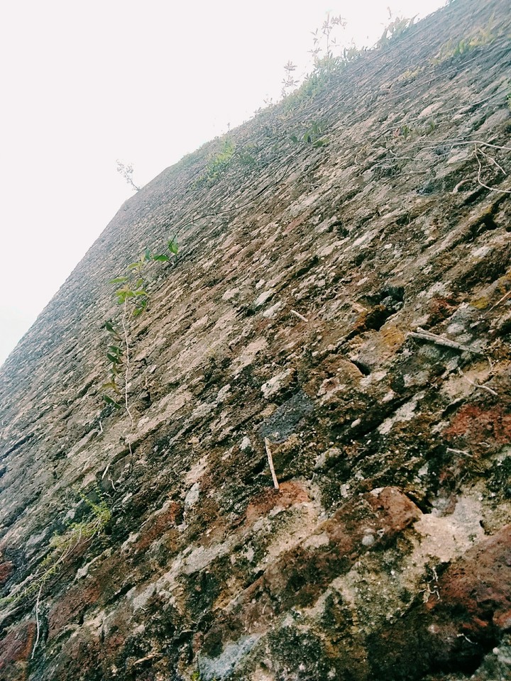 Torre Ruinas del Saladero