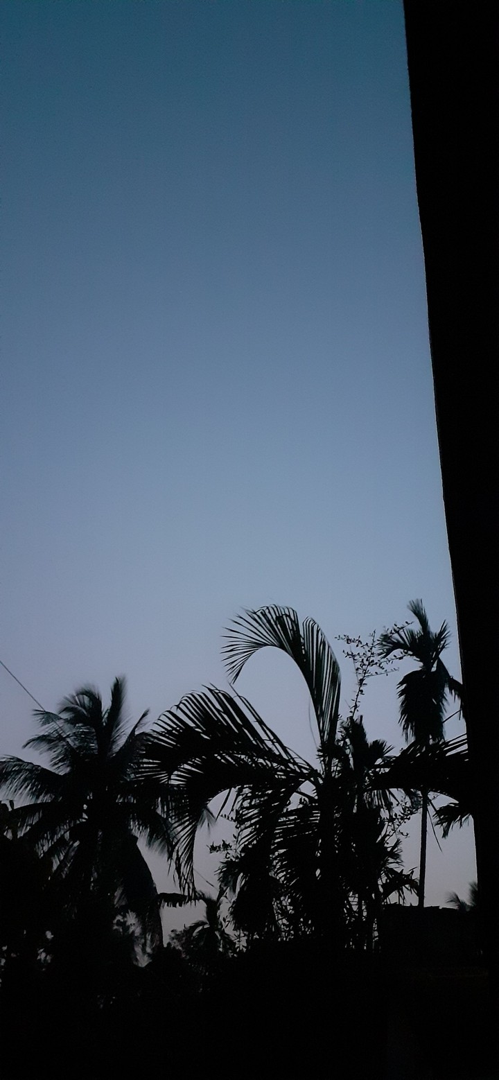 nighty