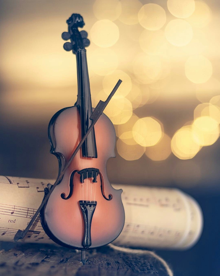 violin