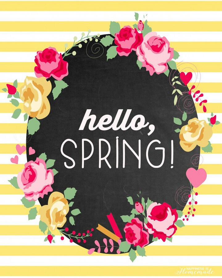 Hello Spring!