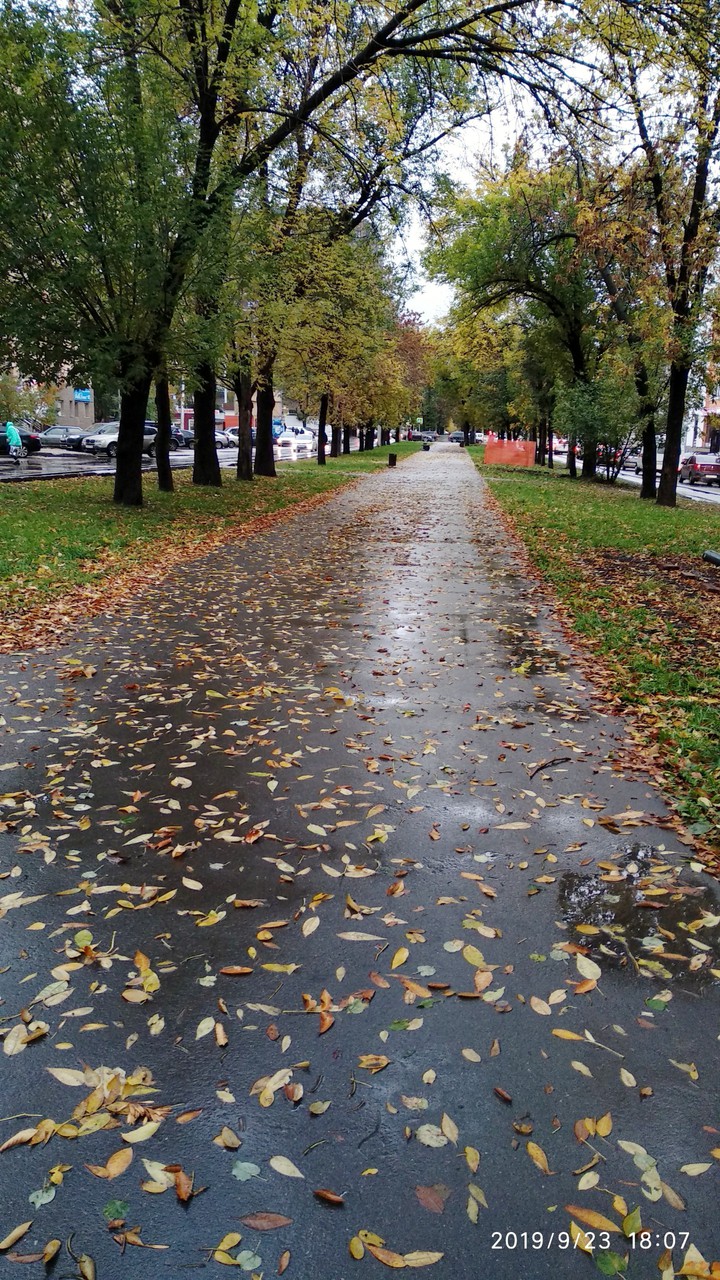 Autumn
