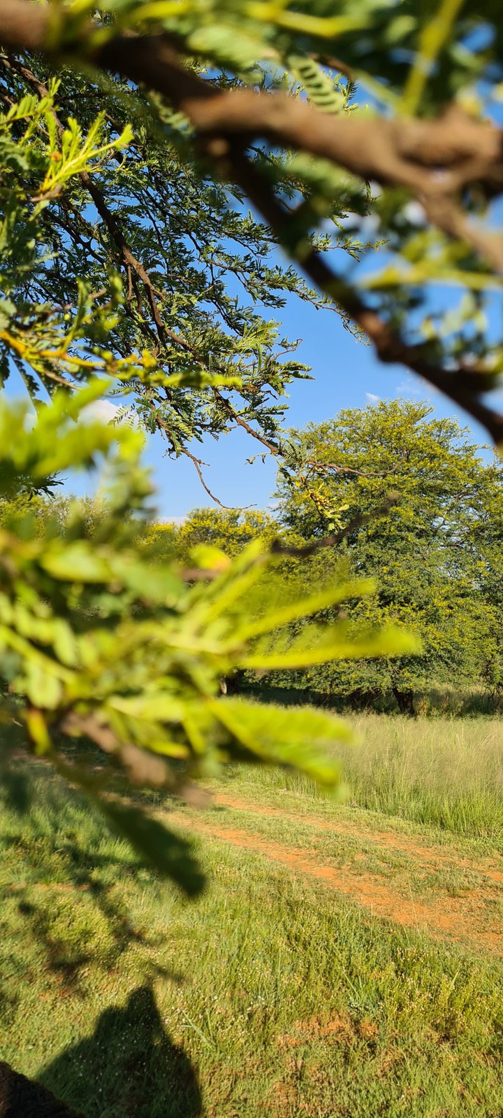 nature