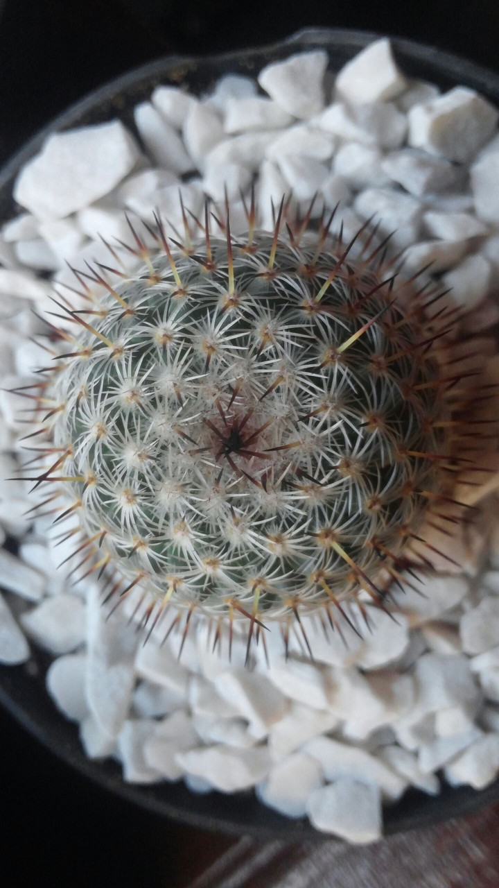 . . .