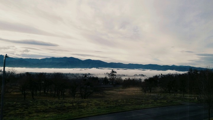 God's creation 