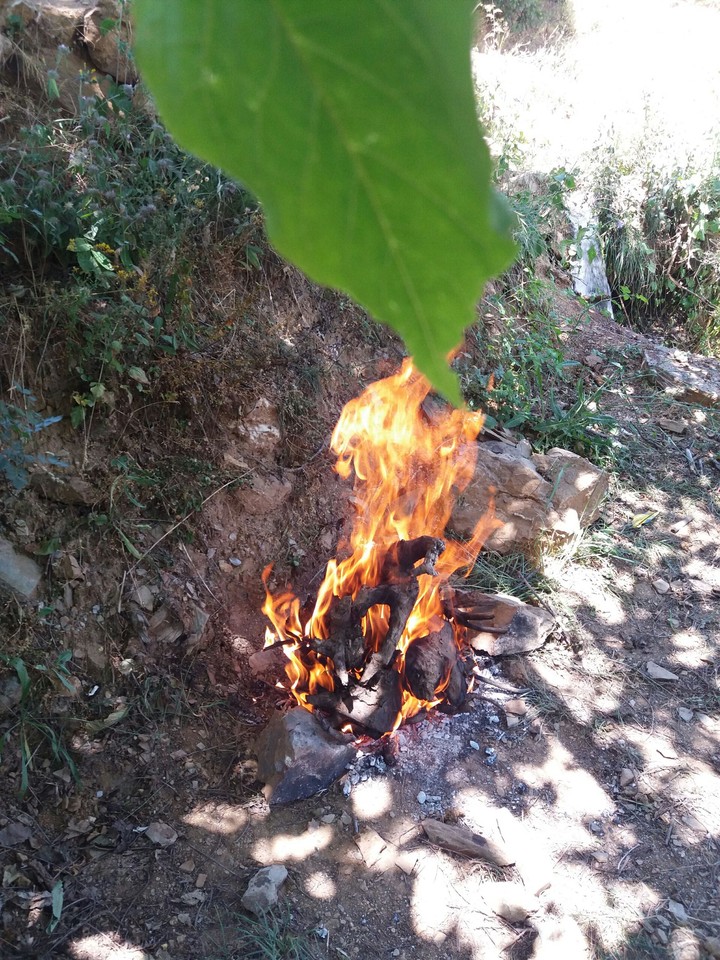 ateş