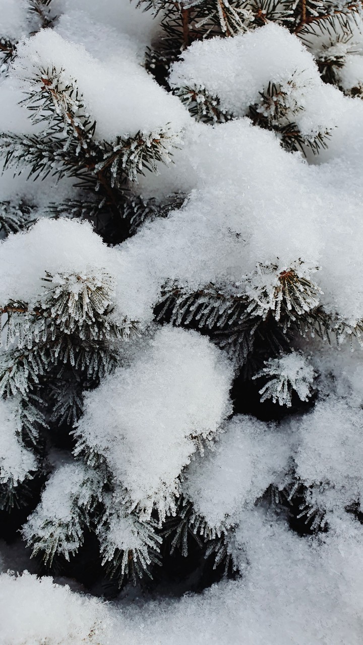 snow...